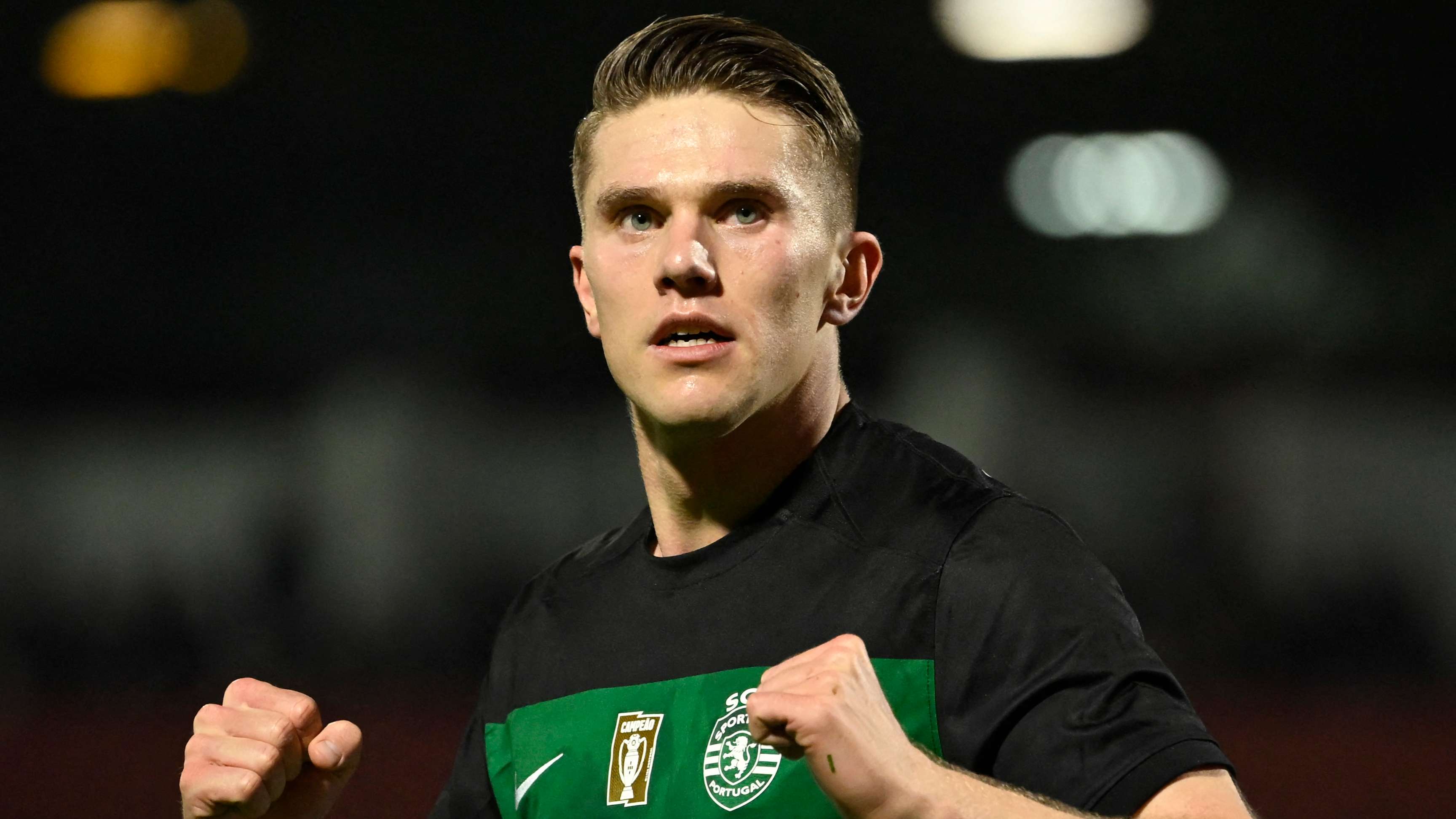 樣的多面手 樣的多面手