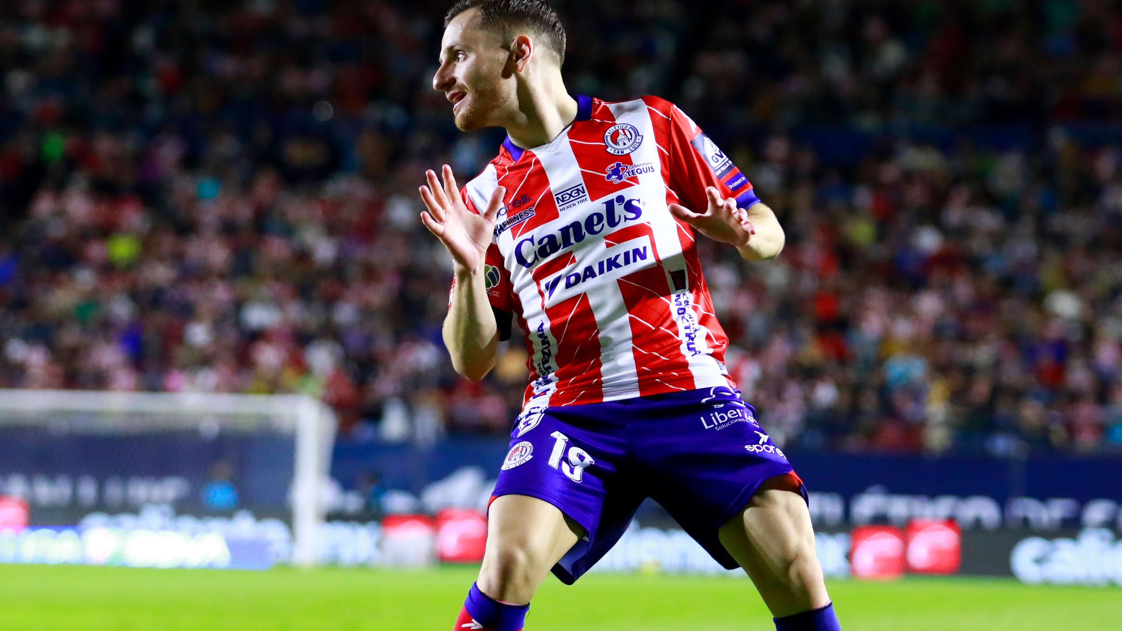 也为球队的 也为球队的