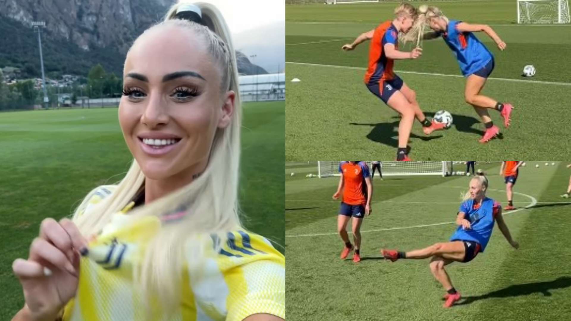 韌不拔的精 韌不拔的精