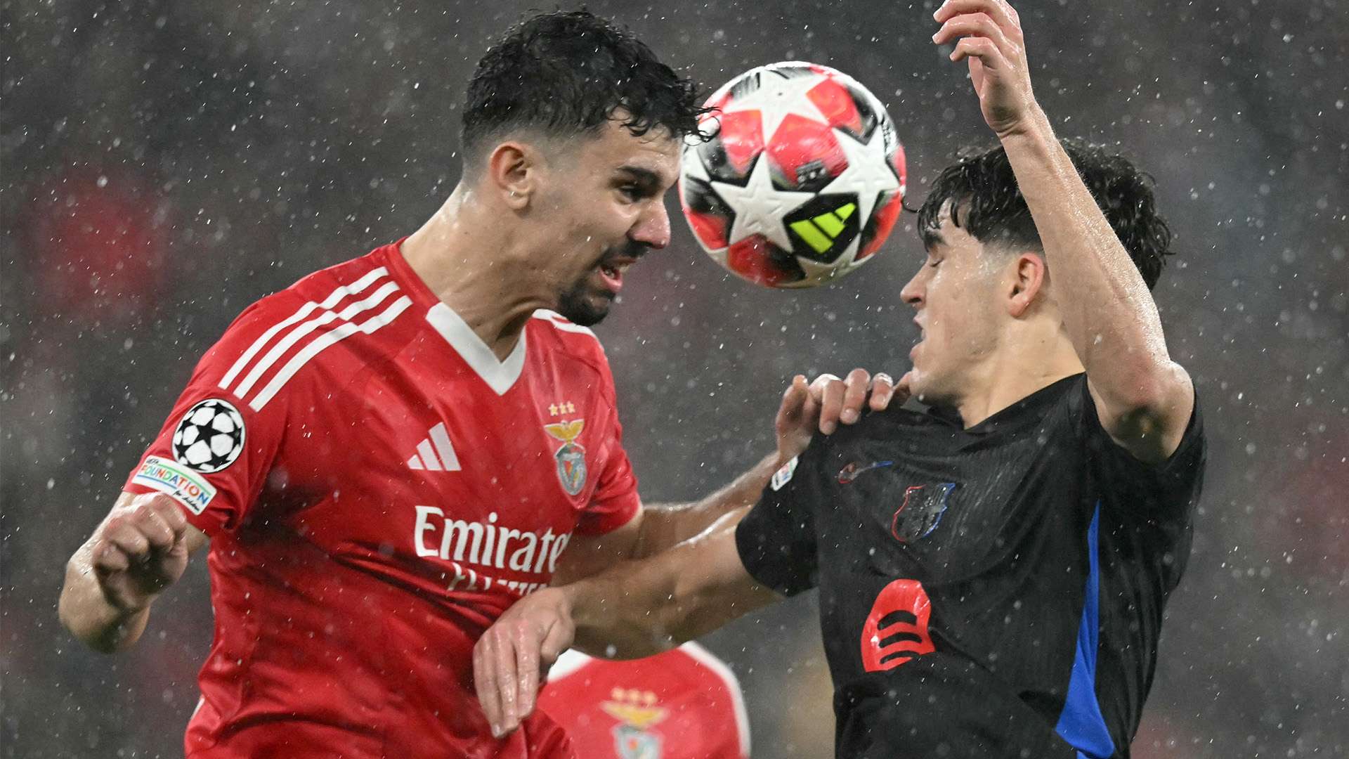 呈现一个全 呈现一个全